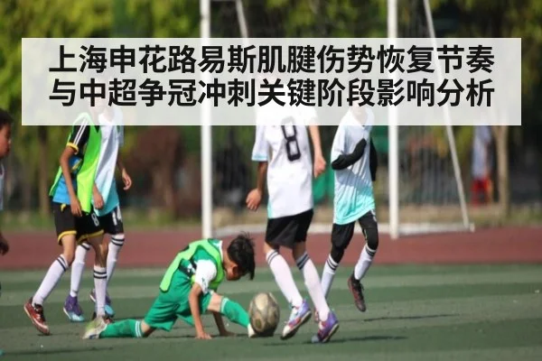 上海申花路易斯肌腱伤势恢复节奏与中超争冠冲刺关键阶段影响分析 - kaiyun